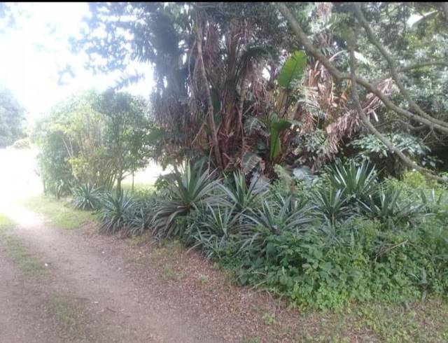2,001M² VACANT LAND FOR SALE IN OSLO BEACH